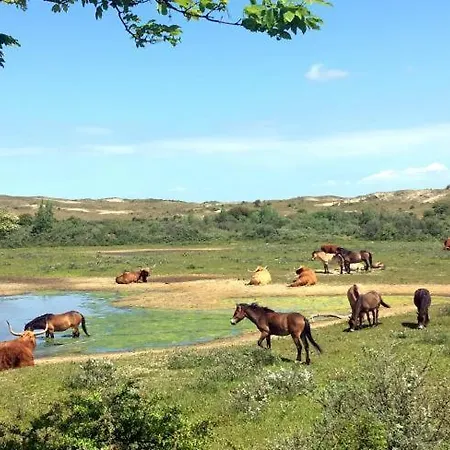 בית נופש Der Springbrunnen