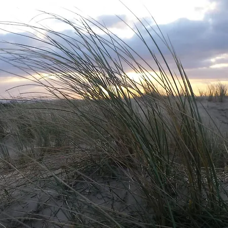 Der Springbrunnen Egmond aan Zee