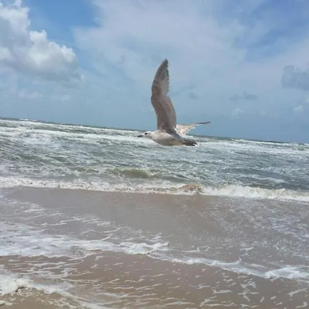 Semesterbostad Der Springbrunnen