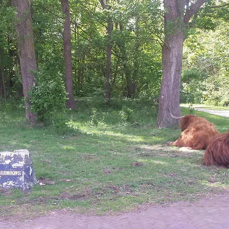 בית נופש Der Springbrunnen