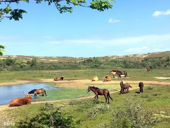 Holiday home Der Springbrunnen