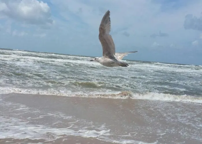 Nyaraló Der Springbrunnen