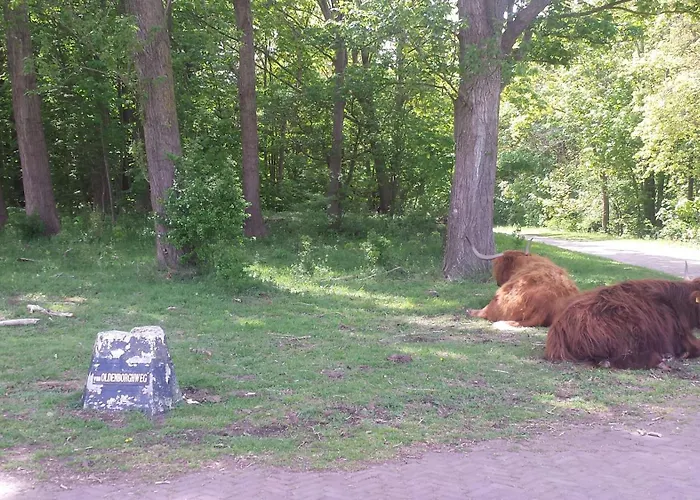 Holiday home Der Springbrunnen
